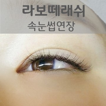 [부작용없는속눈썹연장] 라보떼래쉬 종로점 