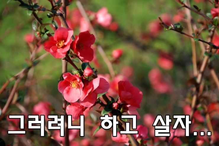 그러려니 하고 살자. 그러려니 하고 살자.