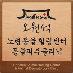 [오원석동물힐링스쿨] 클리닉탐방 : 오원석황금동물병원 "18년간 노령동물의학에 올인하다."