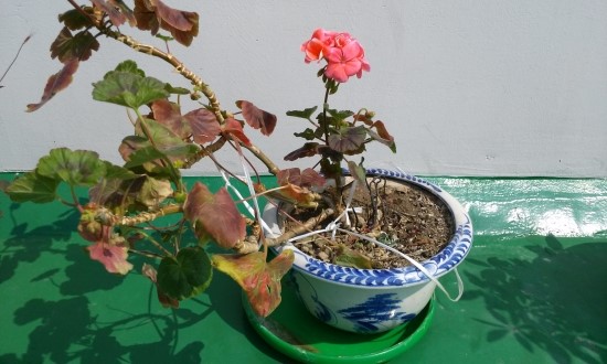  배가 차가워요