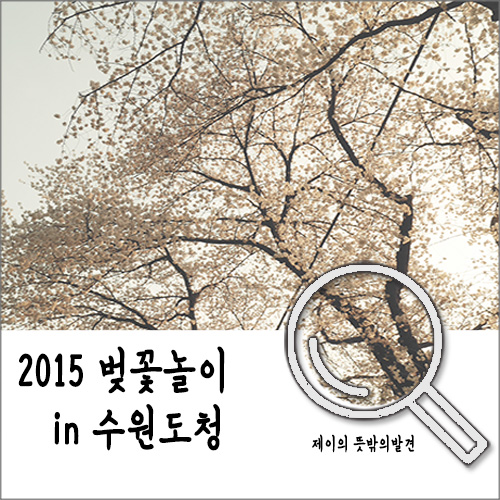 2015 경기도청 벚꽃축제 @그래도 보긴 봤네