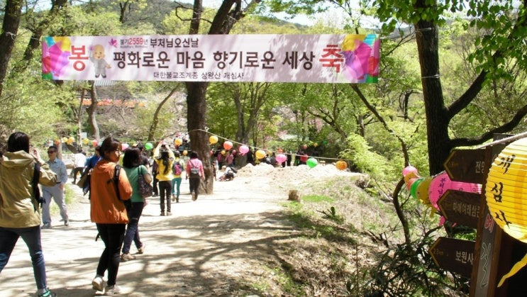  서산 개심사 벚꽃구경 해우소 신축,주차장,통나무다리 신축 