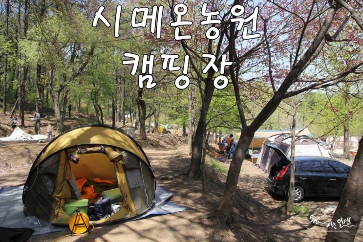  [분당 고기리 캠핑장] 서울에서 가까운 시메온농원 캠핑장