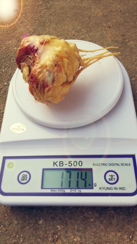 얼마나 더? 얼마나 더?