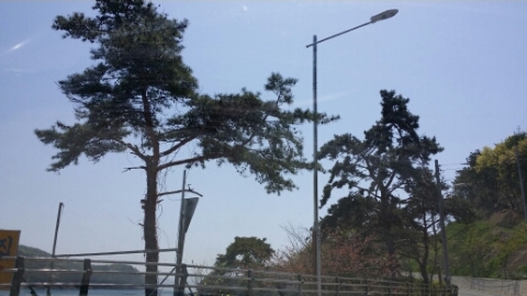 마산 로봇랜드 비치로드 1 마산 로봇랜드 비치로드 1