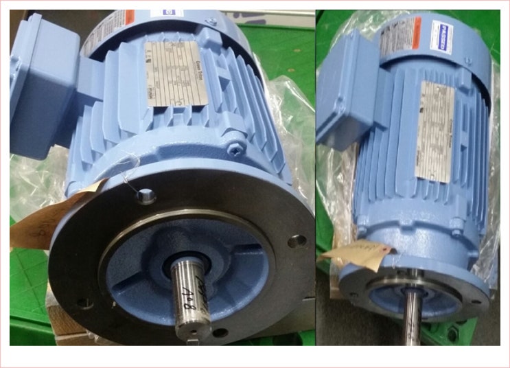  PREMIUM Efficiency AC3 Phase Motor