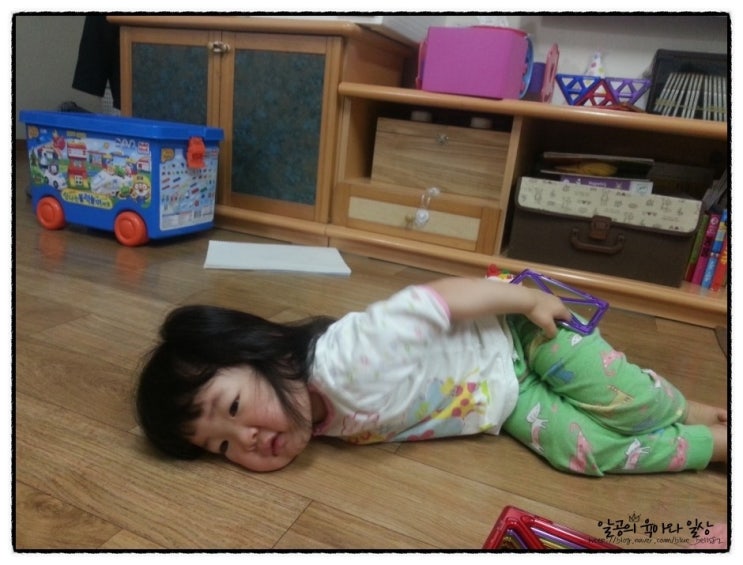 생후800일 : 달이의 퇴원선물ㅋㅋ 생후800일 : 달이의 퇴원선물ㅋㅋ