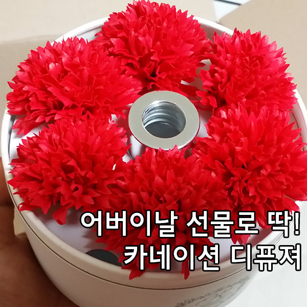  어버이날 선물 / 플라워 팟 카네이션 디퓨져 / 티몬 리플라워 디퓨저 / 향기공장