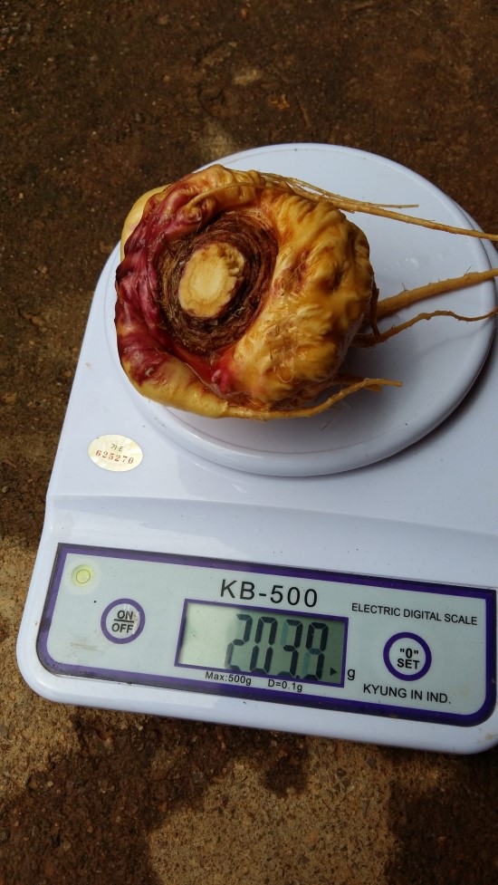 꿈은 이루어진다 꿈은 이루어진다