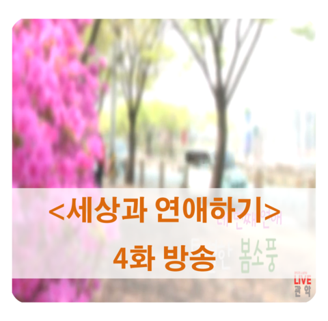  관악 마을 방송 <세상과 연애하기> 4화가 방송됩니다 - 꽃할매들의 셀카 도전기! 