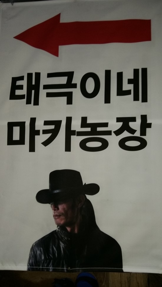 태극이네 행복한 일기 태극이네 행복한 일기