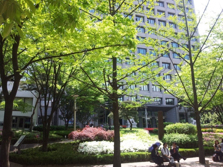  종로 덕수궁 돌담길