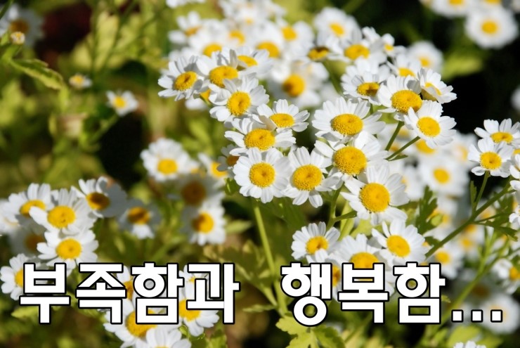 부족함과 행복함. 부족함과 행복함.