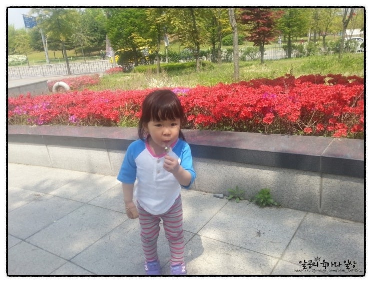 부천 웅진플레이도시 입구만 다녀왔어요^^ 부천 웅진플레이도시 입구만 다녀왔어요^^