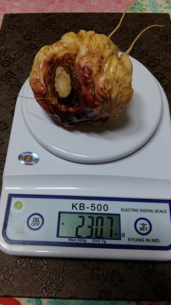수확의 즐거움 수확의 즐거움