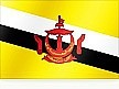  Brunei 브루나이 강아지 고양이 여행가기 해외데려가기 검역절차준비 해외운송 