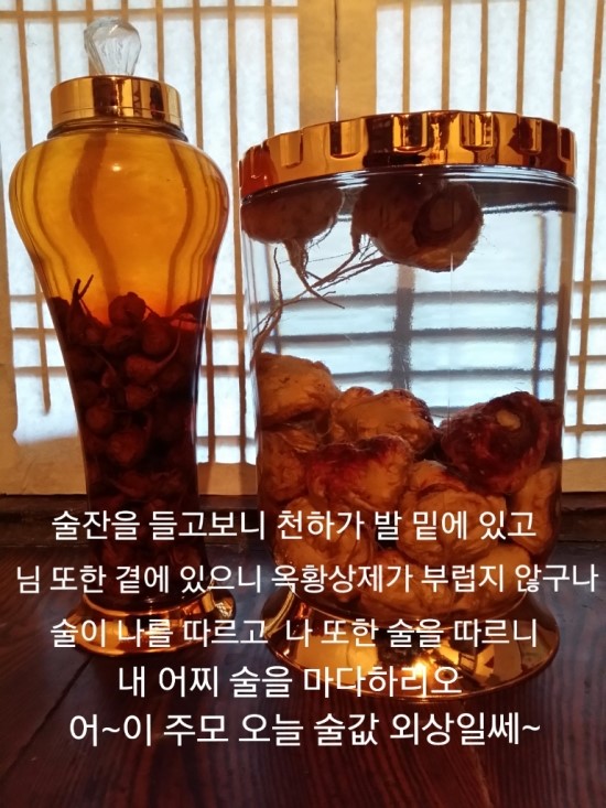 마카 수확과 판매