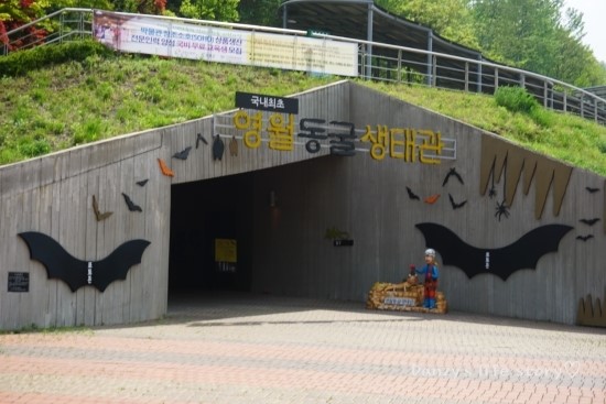  [ 영월 여행 ] 영월 둘쨋날 - 영월동굴생태관 ^^