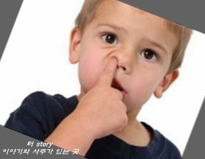 코피 나는 꿈,코를 푸는 꿈,코수술 하는 꿈에 길몽 흉몽 코꿈해몽 - 터 story [춘천점집 유명한....