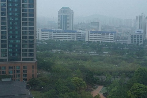 그릴종고산 이미지
