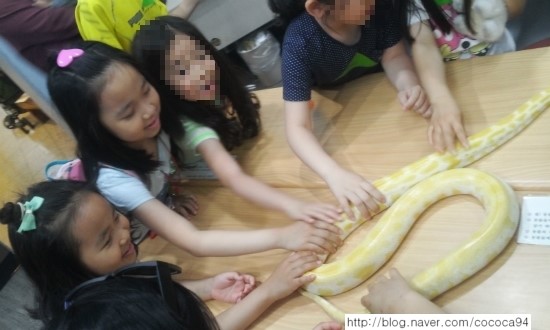  서울어린이대공원 동물 먹이주기 체험 -쥬&애니스쿨