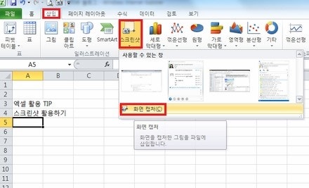 엑셀 스크린샷 기능 활용 방법