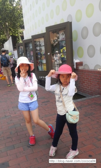 마로니에, 대학로 유래와 흔적을 찾아보아요~낙산시간탐험대1