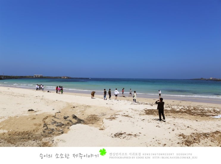  [제주도 우도 여행]제주 여행에 꼭 가봐야할 곳 우도! 승이의 제주관광지 강력추천!