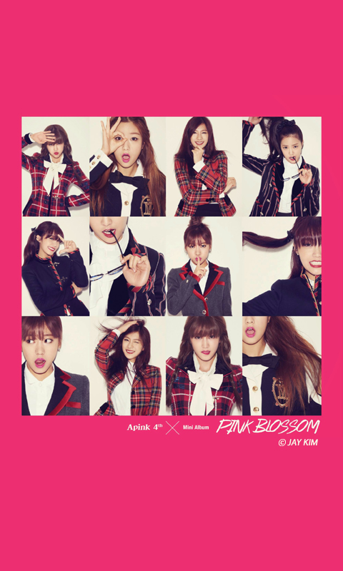  에이핑크 : Mr.Chu 카카오톡 테마