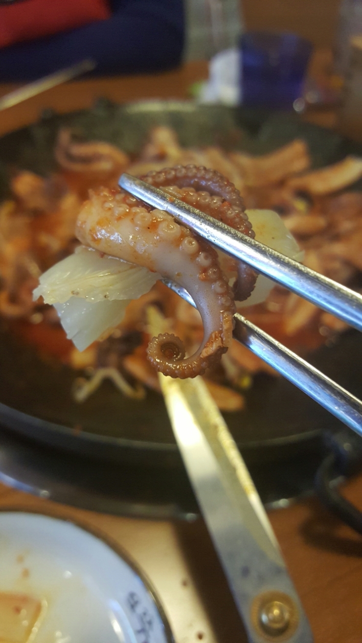  [모란 맛집] 오쭈에서 본 매운맛