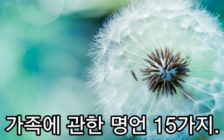 가족에 관한 15가지 명언.