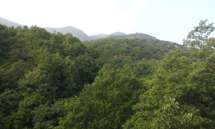  퇴직 후 창업이나 해볼까?