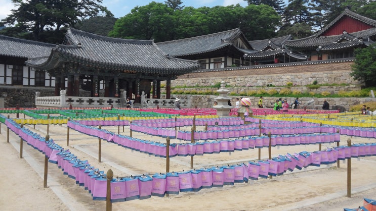  봄과 여름 사이 합천 소리길