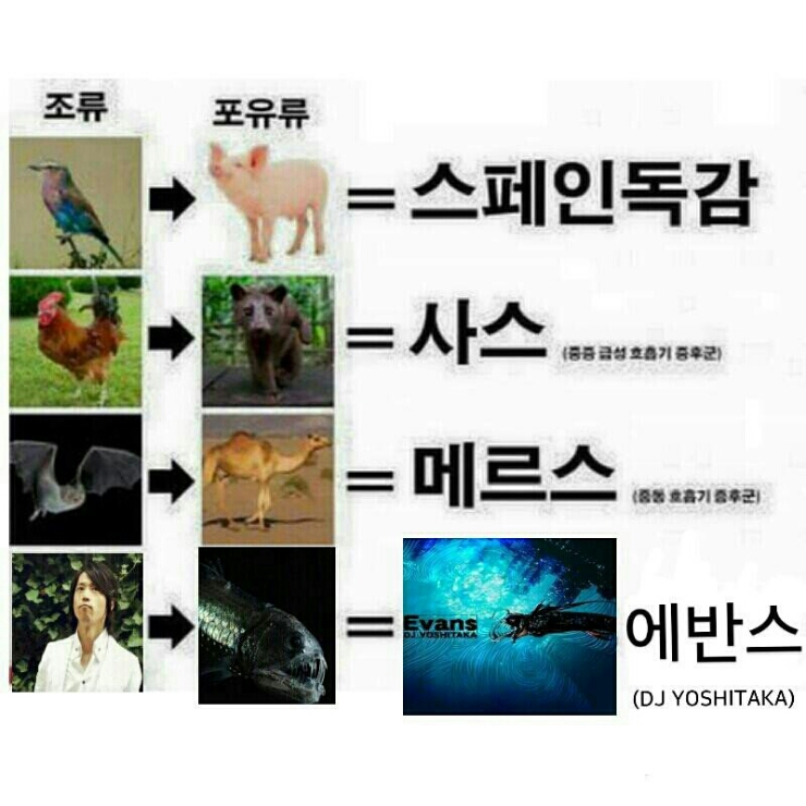  욧닭 시켜먹고싶다