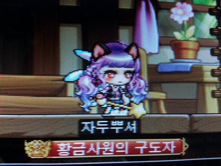  으아아 메이플 하고싶다(레드서버/자두뿌셔)