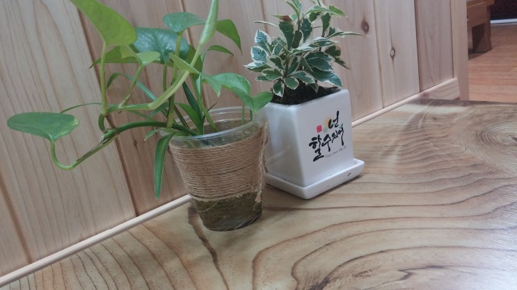   내가 찜한 닭