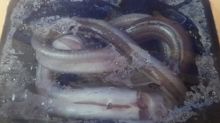 말린장어조림(원산지:국산통영)