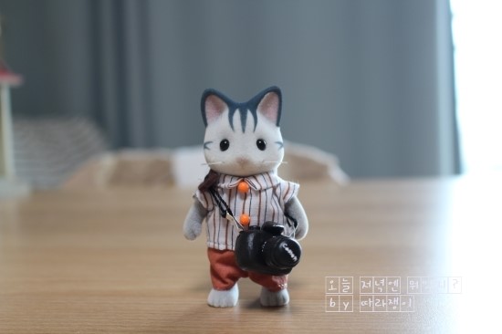  [실바니안] 회색고양이 벤의 최신 카메라