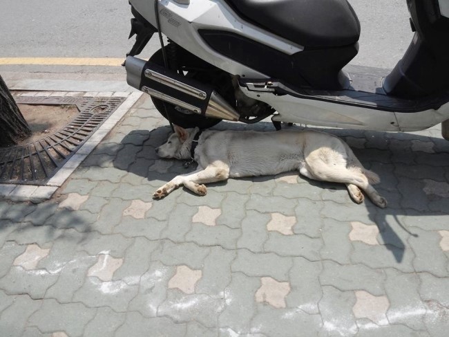  현충일 여유로운 바람 맞다