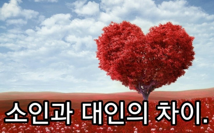소인과 대인의 차이. 소인과 대인의 차이.