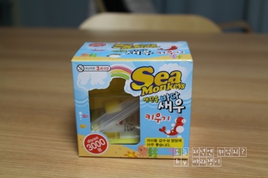  씨몽키 키우기