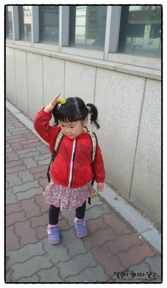 생후850일 달이의 일상 : 산책하기^^ 생후850일 달이의 일상 : 산책하기^^