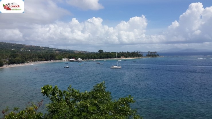  생선구이의 달인