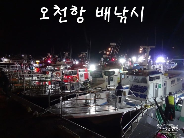  [오천항 배낚시] 오천항에서 나폴리호타고 광어낚시