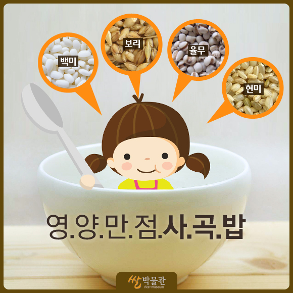  영양백배 사곡밥