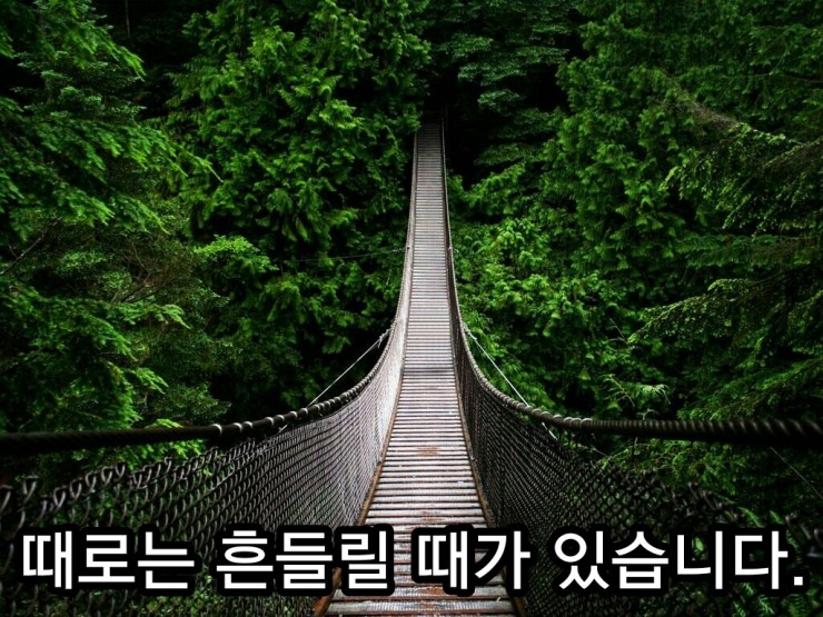 때로는 흔들릴 때가 있습니다. 때로는 흔들릴 때가 있습니다.