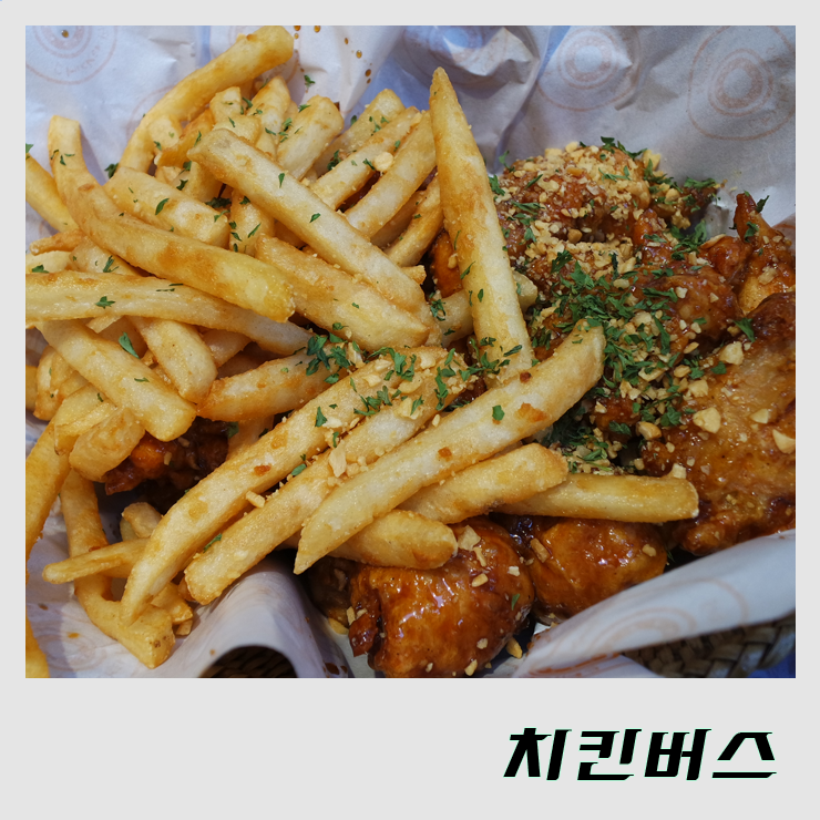 [서울/안암] 치킨버스