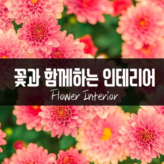  꽃과 함께하는 인테리어 -이미지 모음-