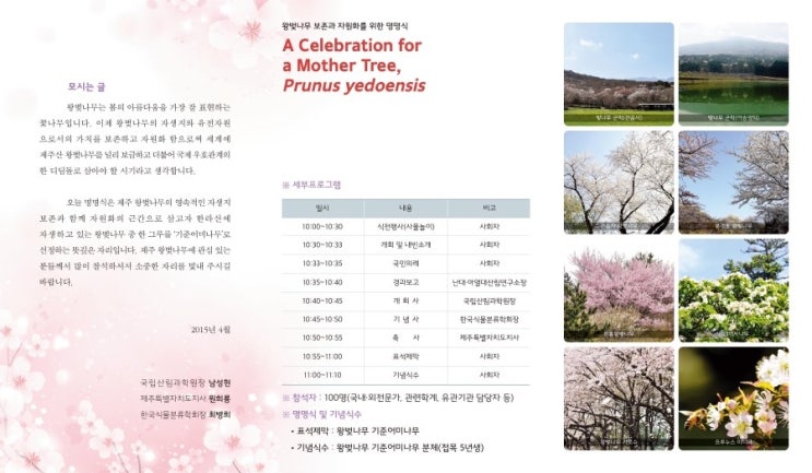  왕벚나무의 보존과 자원화를 위한 심포지엄 및 명명식 리플렛