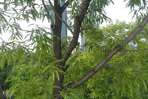 (주)디엔피 이미지